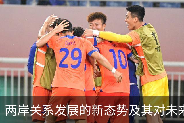 两岸关系发展的新态势及其对未来的影响