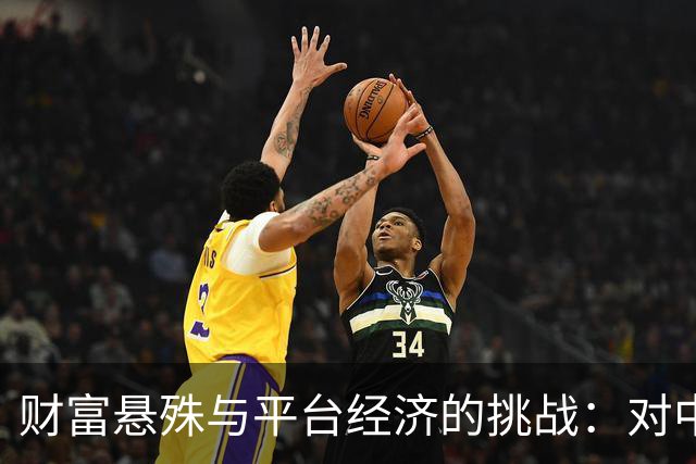 财富悬殊与平台经济的挑战：对中国首富现象的分析